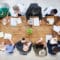 healthcare financial professionals