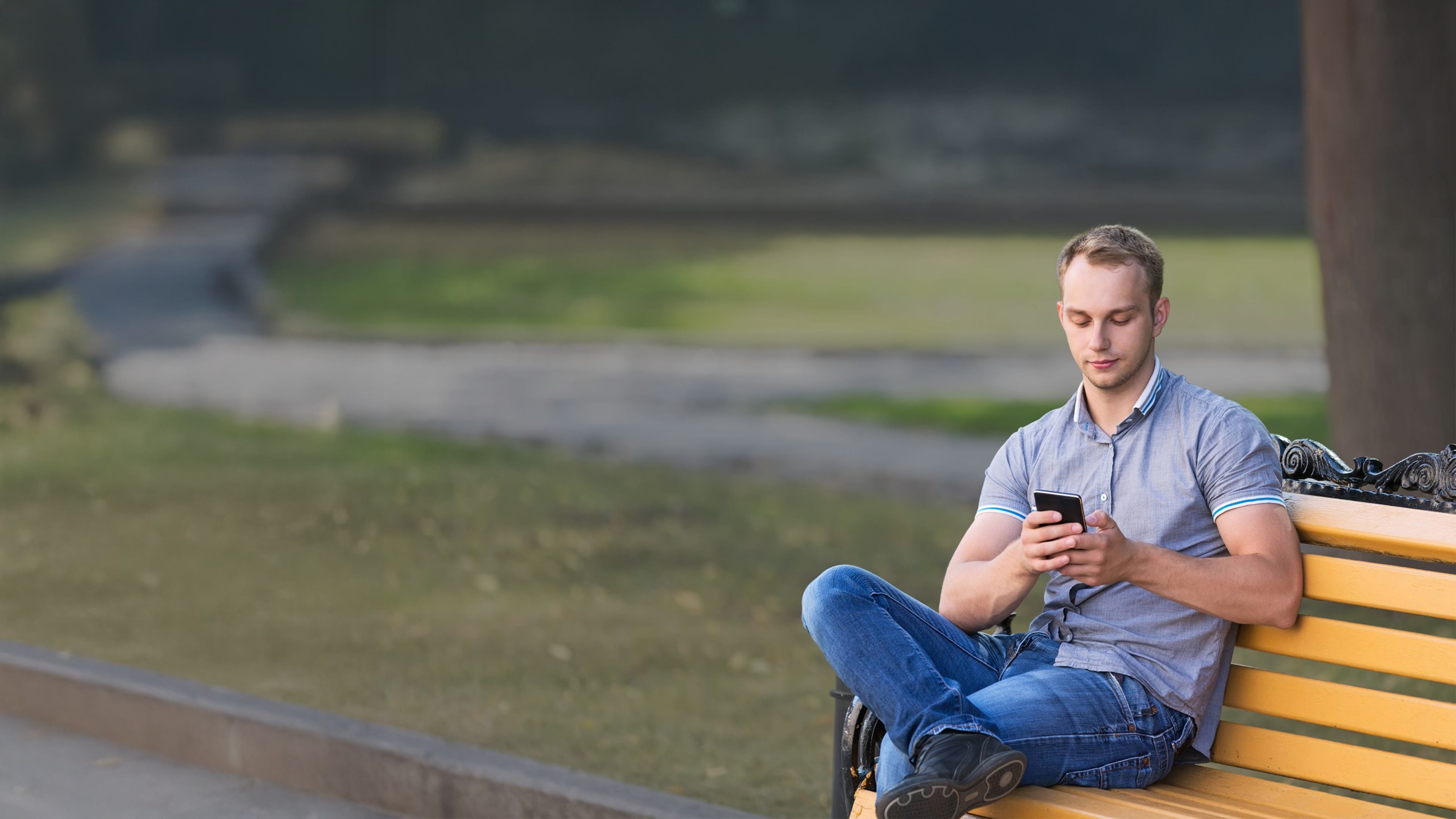 Young man sitting in the park looking at his smart phone.